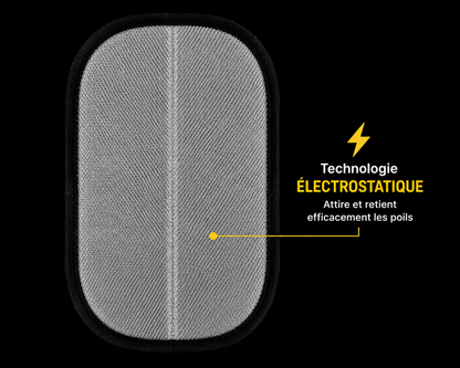 Pawelo™ – Gant électrostatique anti-poils
